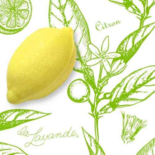 French Lemon Soap